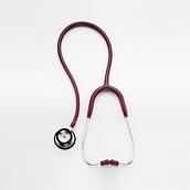 A Welch Allyn Professional Stethoscope for Veterinary professionals in maroon