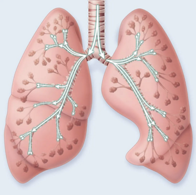 Lung Expansion CPEP image 1