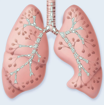 Lung Mobilization CHFO image full view