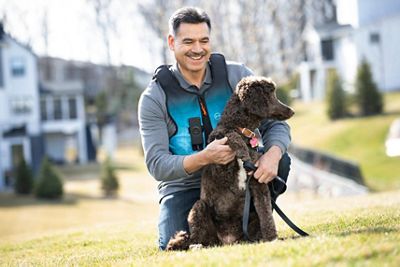 Dog outside with vest