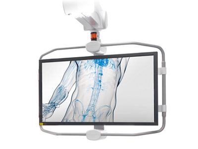 Hybrid monitor holder and large monitor.