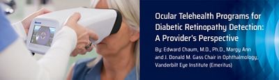 dr chaum blog post for ocular telehealth programs for diabetic retinopathy detection: a provider's perspective