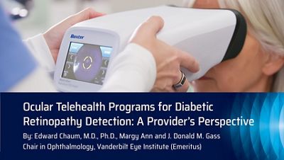 dr chaum blog post for ocular telehealth programs for diabetic retinopathy detection: a provider's perspective