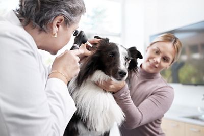 MacroView Plus Otoscope pediatric ear exam Lithium Ion power handle