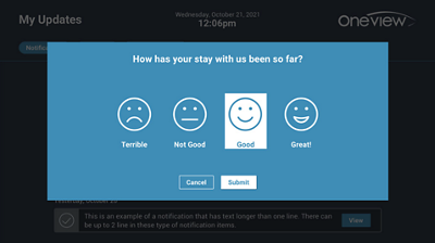 Oneview patient experience micro-survey