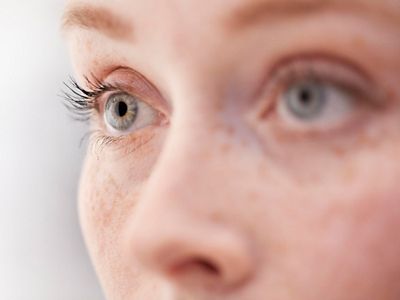 Hillrom のサービスエンジニアはタブレット端末を使用してセントレラ（Centrella®）SmartPlus ベッドを検査を行います。